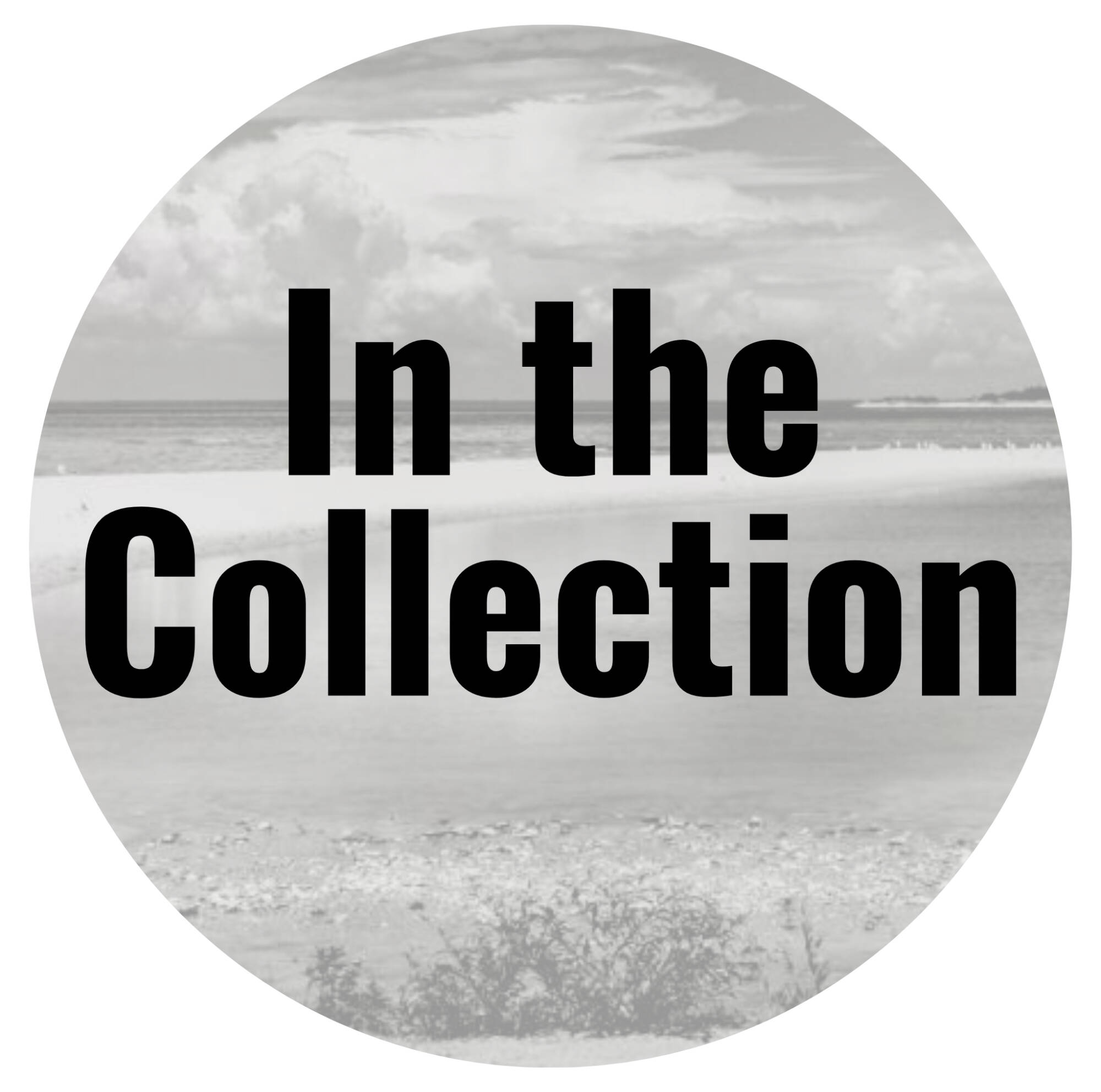 Click to learn about photography in the GVAM collection